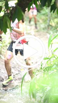 BIB:  <button type="button" onclick="openModal(27493935)" class="btn btn-primary btn-sm float-right" data-toggle="modal" data-target=".modal-high-quality">
                <i class="fa fa-download"></i> Download
                </button>